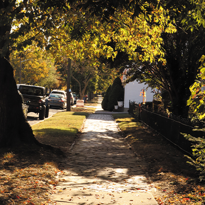 Landscape Prompt Photography